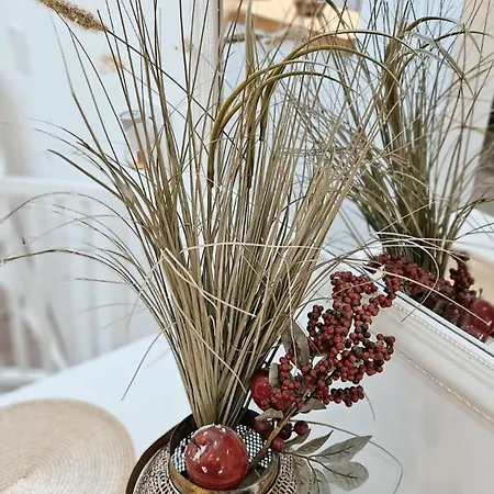 Dorcol Deluxe * Belgrad