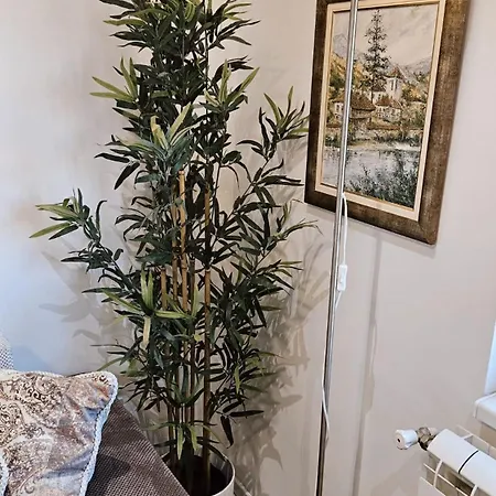 Apartament Dorcol Deluxe